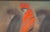 1980s Victoria Mortesinos Large Oil Painting - Signed For Sale In Boston - Image 6 of 15