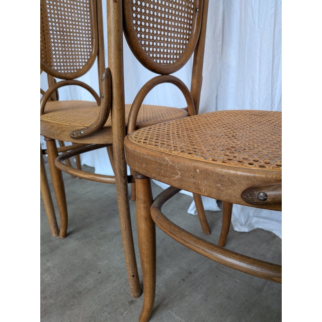 Wood Vintage Bentwood and Cane Dining Chairs, Former Yugoslavia, 1970s, Set of 8 For Sale - Image 7 of 18