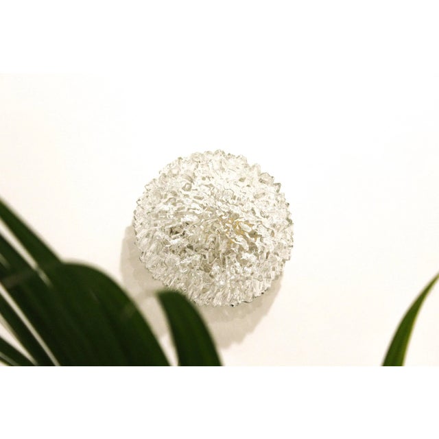 Rostrate Glass Wall Lamp, Italy, 1970s For Sale - Image 4 of 11