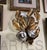 1950s Italian Gilt Metal Wall Floral Sculpture For Sale - Image 9 of 9