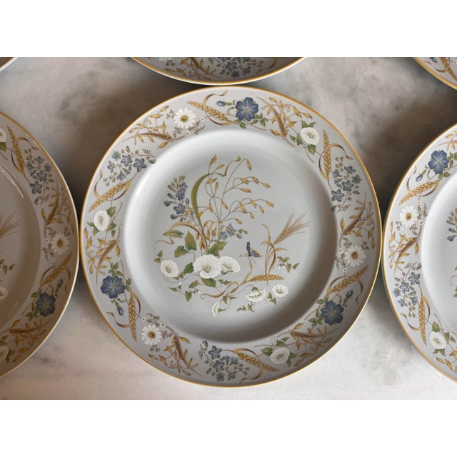 Spode Spode Summer Harvest Dinner Plates - Set of 6 For Sale - Image 4 of 11