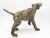 Terracotta Hunting Hound Pointer Dog Statue, Early 20th C. For Sale In New York - Image 6 of 7