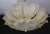 Gold Dubai, Large Size Murano Glass Gold Flush Mount, 1970s For Sale - Image 8 of 12