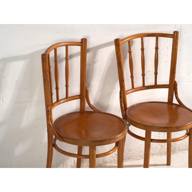 Bentwood Chairs in the style of Thonet, Central Europe, 1930, Set of 4 For Sale - Image 14 of 18