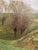 Modern Hans Richard Volkmann, Weidenplan, 1896, Oil Painting on Canvas For Sale - Image 3 of 13