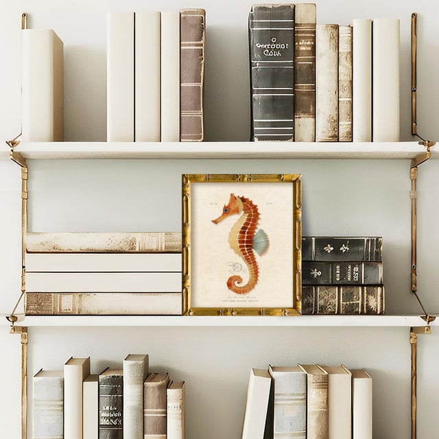 This is our framed red seahorse print from our vintage "Les Animaux Marins" series. Please note there are 6 images in this...