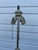 1950s Classical Roman Bronze Floor Lamp For Sale - Image 4 of 6