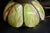 Antique Avocado Ceiling Light Shade With Slag Glass and Bronze Bands For Sale - Image 13 of 18