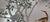 If you love the look of De Gournay wallpaper but not the price, this is for you. Hand-Painted Silver Metallic Mural,...