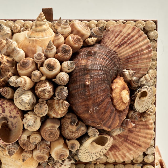 Vintage Seashell Encrusted Box For Sale - Image 11 of 14