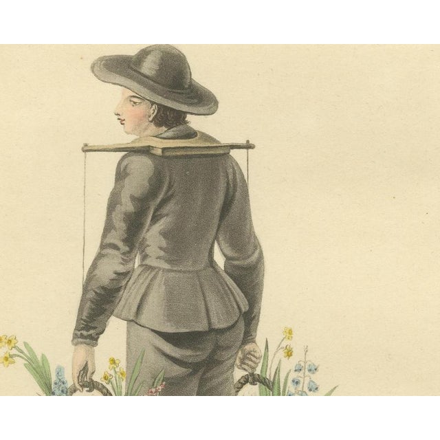 Miss Semple, Boy Selling Flowers in Rotterdam, Daffodil Baskets, 1817, Engraving For Sale - Image 4 of 8