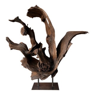 Vintage Teak Wood Root Sculpture on Metal Stand For Sale