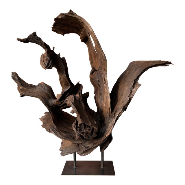 Vintage Teak Wood Root Sculpture on Metal Stand For Sale