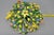 Polychrome Painted Metal Flower Five-Light Ceiling Light, 1970s For Sale - Image 13 of 18