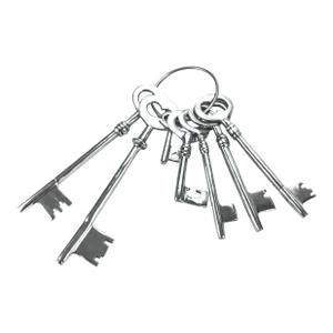 Aluminum Decorative Skeleton Key Set of 7