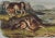 Audubon Prairie Wolf: An Original Audubon 19th Century Hand-Colored Lithograph, 1849-1854 For Sale - Image 4 of 4
