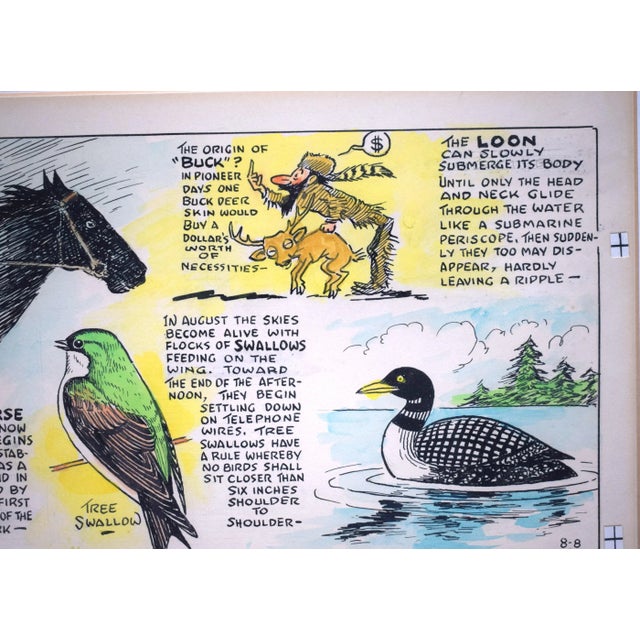 Traditional 1982 Nature Notes Original Painting by Parrish Chicago Tribune, Framed For Sale - Image 3 of 5