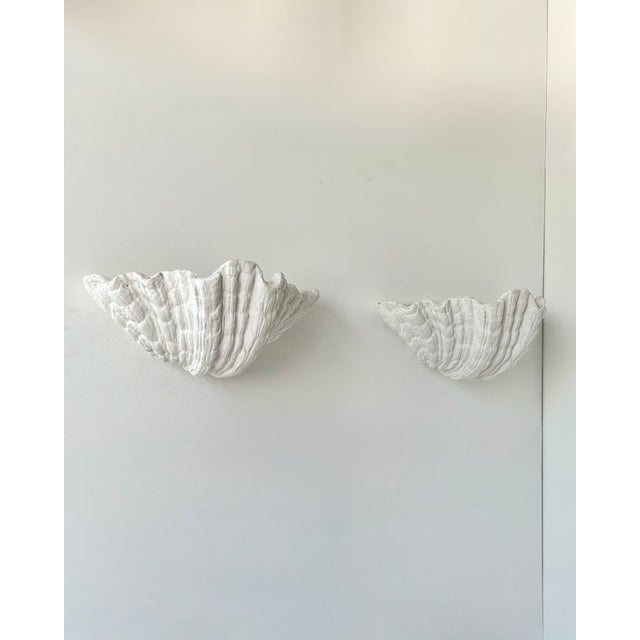 Vintage Plaster Seashell Wall Sconces attributed to S. Roche, France, 1920s, Set of 2 For Sale - Image 4 of 9