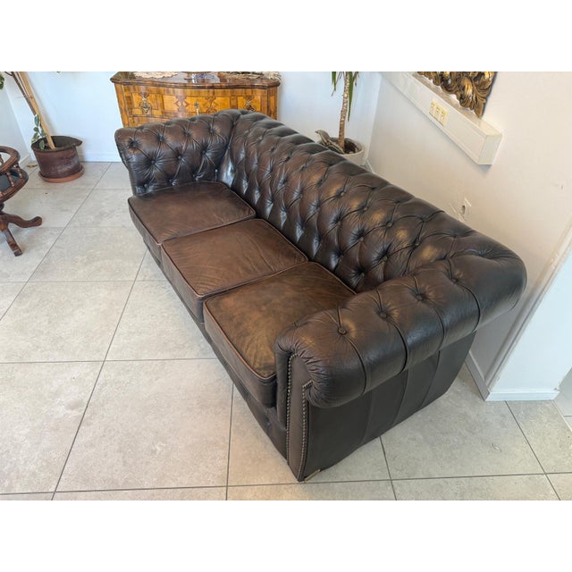 Chesterfield Three Seater Club Sofa from Zigarrenbraun For Sale - Image 6 of 18