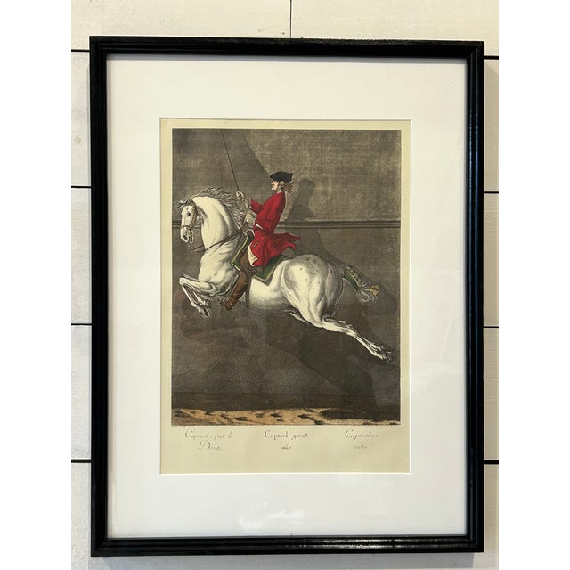 Wood Antique Equestrian/Dressage Prints, Set of Seven, Framed For Sale - Image 7 of 13