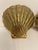 Pair brass clam shell or scallop seashell bookends. Nice condition. Ready to use. Slight patina from age and use. Good...