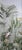 1: Commodity: Hand-Painted Sage Green Tropical Rainforest Wallpaper 2: Handicrafts: 100% handmade and hand-painted. 3:...