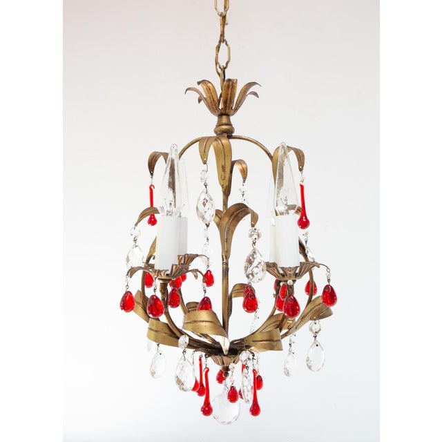 Small Italian Chandelier in Gilt Metal with Leaves and Red Drops, 1960s For Sale - Image 3 of 8