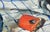 Friedrich Kunitzer, Still Life with Poppies & Jug, 1970s, Oil on Canvas, Framed For Sale - Image 11 of 13