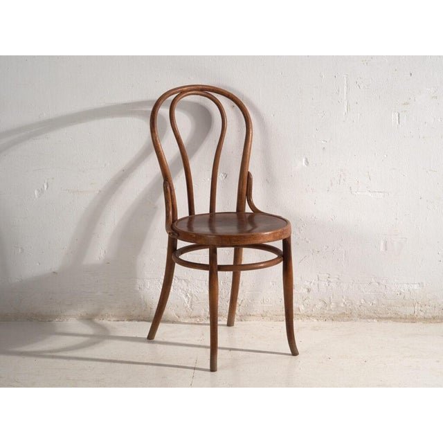 Brown Chairs in Bentwood from Thonet, Central Europe, 1930, Set of 2 For Sale - Image 8 of 13
