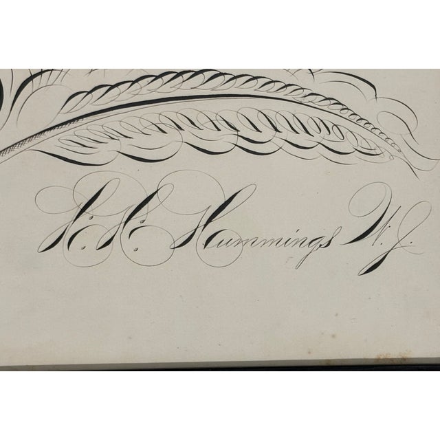 Late 19th Century 19th Century American Spencerian Calligraphy Penmanship Feather Flourish, Framed For Sale - Image 5 of 10