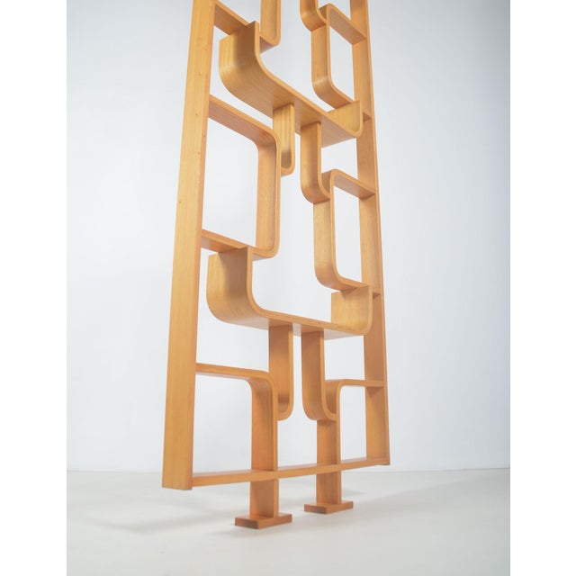 Room Divider attributed to Volak for Drevopodnik Holesov, 1960s For Sale - Image 6 of 8