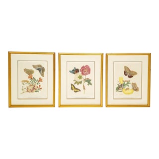 Maria Sibylla Merian Botanical & Butterfly Prints - Set of 3 For Sale
