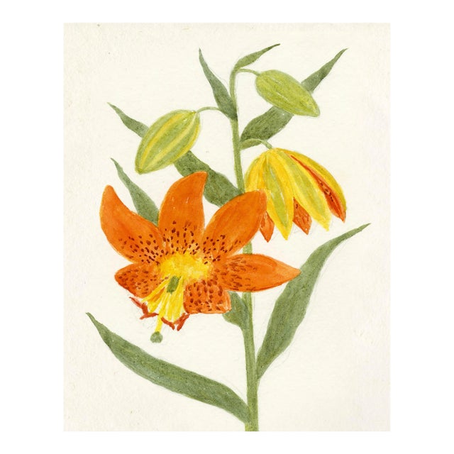 Hubbard Flower, Small: 8052 Artwork, Unframed Artwork For Sale