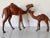Charming pair of vintage handcrafted leather camel sculptures, featuring a striking mother and baby duo. Each camel is...