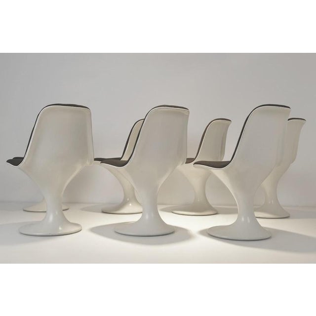 Brown Swivel Chairs by Markus Farner + Walter Grunder for Vitra, 1965, Set of 7 For Sale - Image 8 of 15