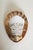 Art Deco Bronze and Parchment Shell Wall Sconces, France, 1920s, Set of 2 For Sale - Image 13 of 18