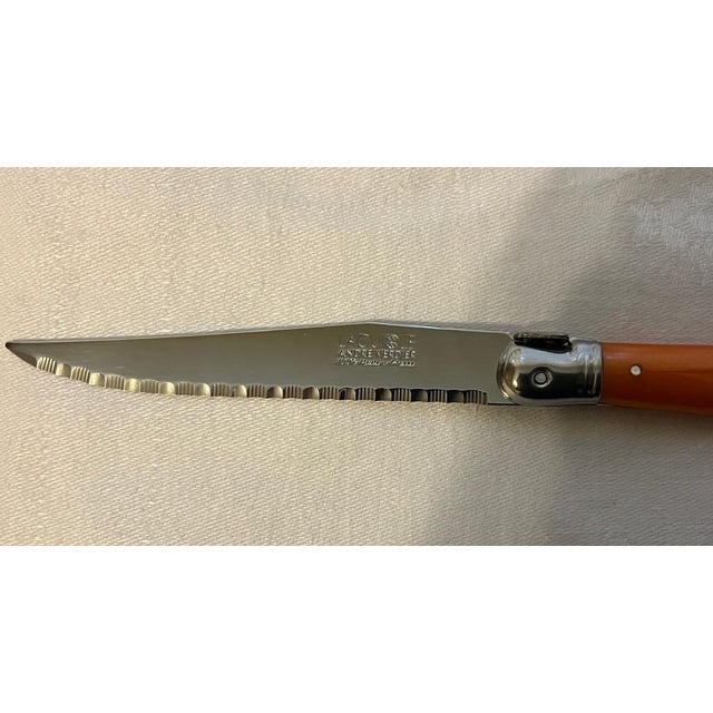 Laguiole Set of 6 Authentic French Andre Verdier Laguiole Steak Knives Multicolor/ Fruity Color For Sale - Image 4 of 7