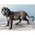 Late 20th Century Vintage Bronze Tiger Sculptures - A Pair For Sale - Image 5 of 12