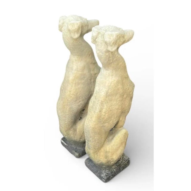 Elegant pair of seated greyhound (or whippet) statues crafted from cast stone with a beautifully aged patina. The lean,...