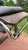 Vintage Modernist Chrome Chaise Lounge Attributed to Le Corbusier Lc4 With Cowhide Upholstery For Sale - Image 10 of 11