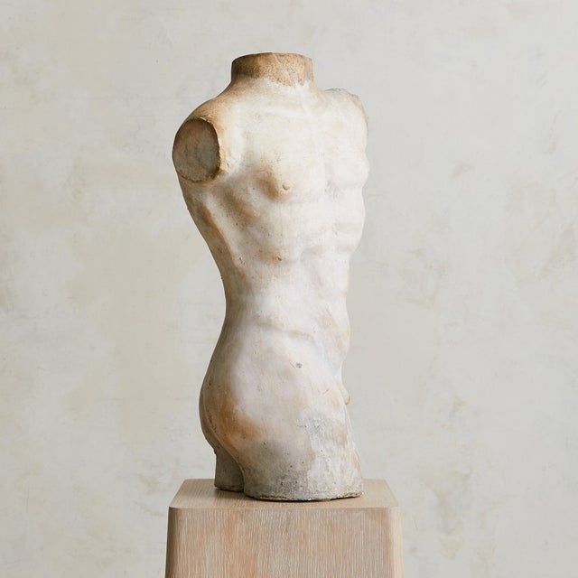 Vintage French Plaster Male Torso Sculpture For Sale - Image 18 of 18