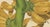 Sheep van Nooten, Banana Botanical, 1880, Chromolithograph For Sale - Image 4 of 9