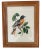 Mid 20th Century Vintage Cross-Stitched Embroidered Framed Songbirds. Set of Four. For Sale - Image 5 of 8