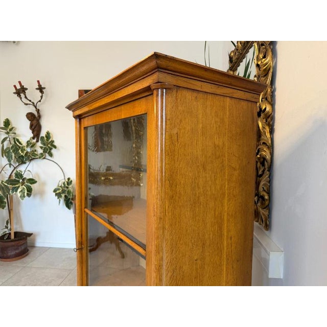 Brown Biedermeier Display Cabinet in Wood For Sale - Image 8 of 13