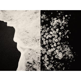 Jaume Llorens Bach, Gaia Diptych #1, Monochrome Photographic Print For Sale