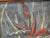 1970s Abstract Lisa Bradshaw 1977 Sci-Fi Modern Umbrella TreesCape Wit Giant Aloe For Sale - Image 5 of 7