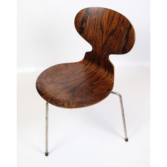 Fritz Hansen Ant Chairs Model 3101 in Rosewood by Arne Jacobsen for Fritz Hansen, 1950s, Set of 6 For Sale - Image 4 of 9