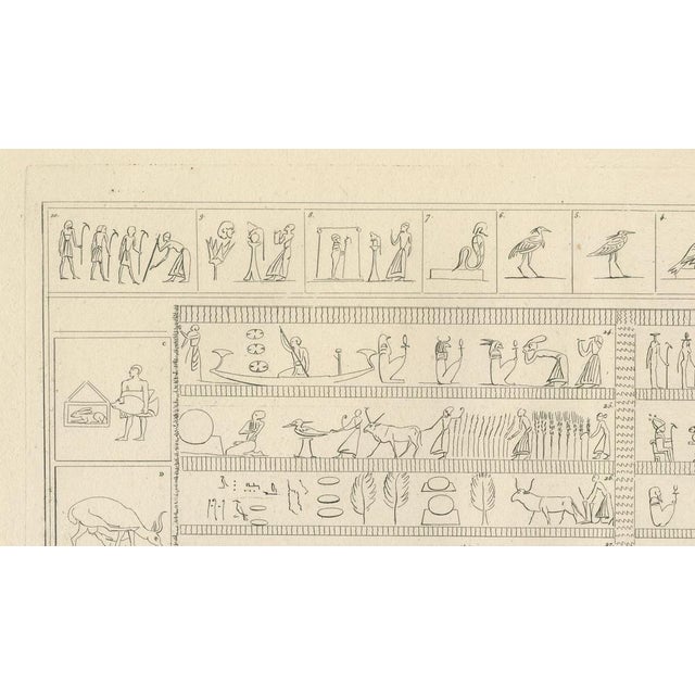 Paper Egyptian Processions and Daily Life Reliefs, 1802, Paper For Sale - Image 7 of 9