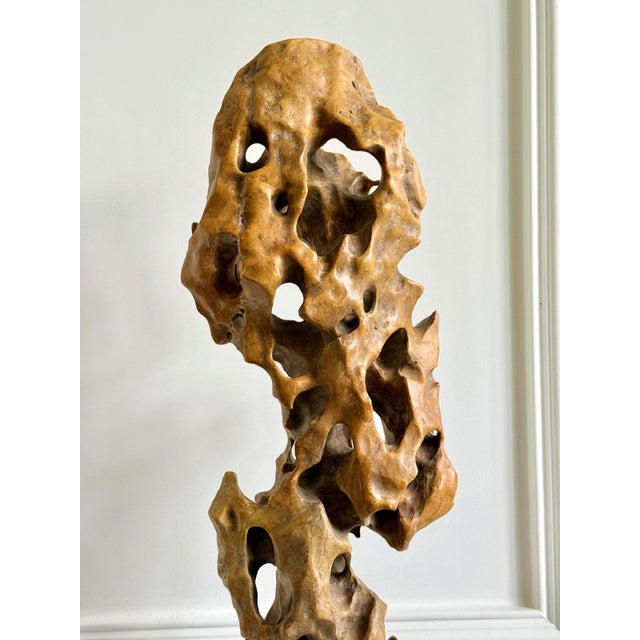 Black Tall Elegant Chinese Scholar Rock Yellow Taihu Stone on Wood Stand For Sale - Image 8 of 18