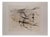 Wifredo Lam, Visible Invisible, 1972, Etching For Sale